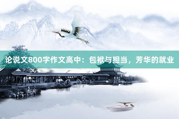 论说文800字作文高中：包袱与担当，芳华的就业